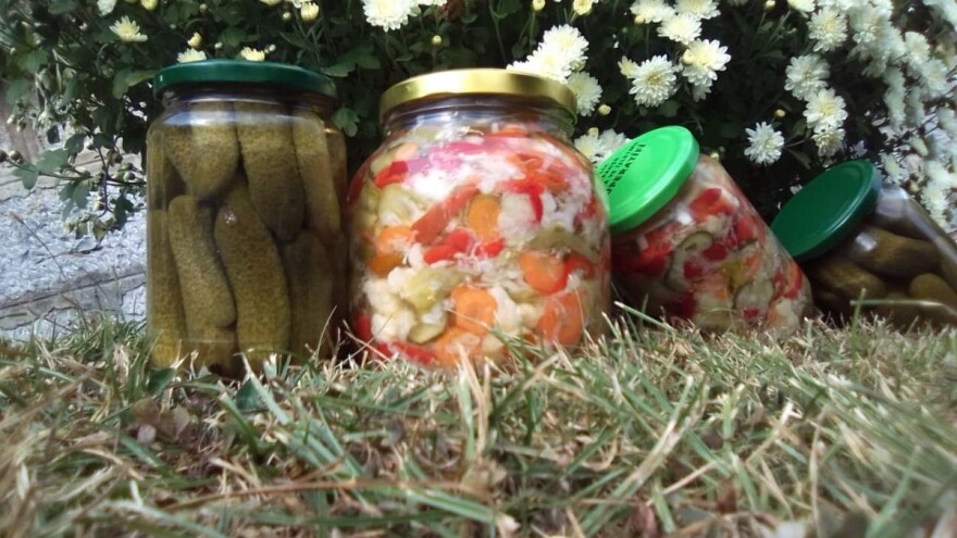 Iz grada na selo u proizvodnju neprskanog voća i povrća za zimnicu