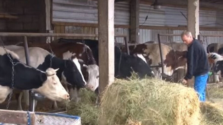 Gubitak posla ih vratio poljoprivredi