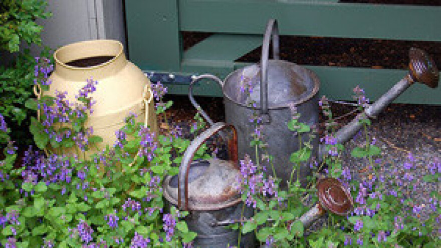 Seoska gospodarstva - šansa u turizmu