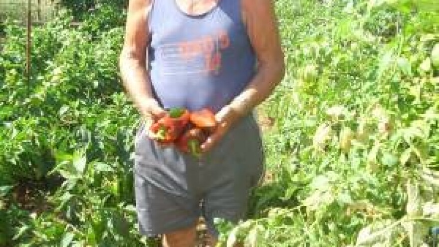 Čudo prirode u srcu dalmatinskog krša