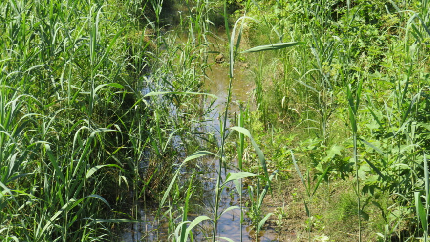Federacija će do kraja godine imati tri nova zaštićena područja