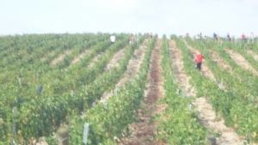 Crljenak se ubrzanim korakom vraća kući