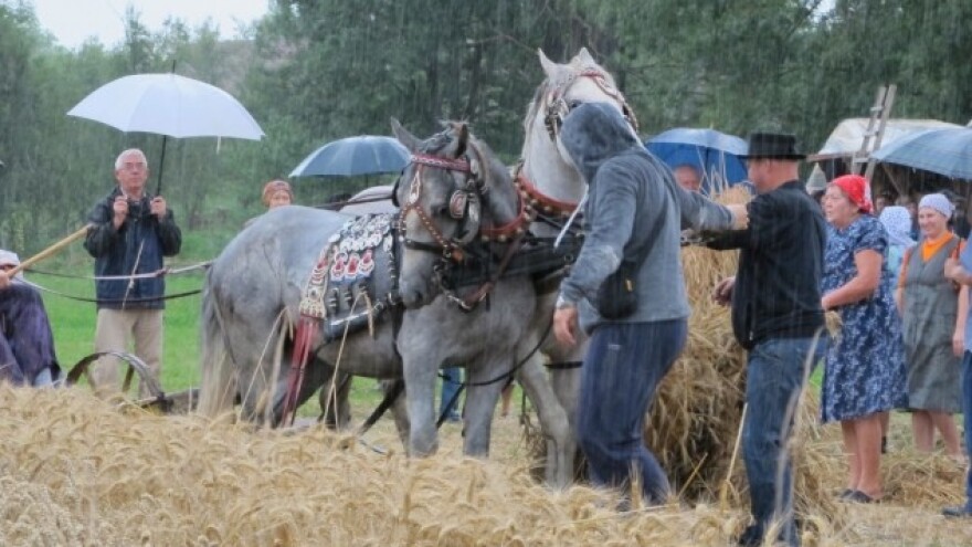 Kiša ispratila češke žetvene svečanosti
