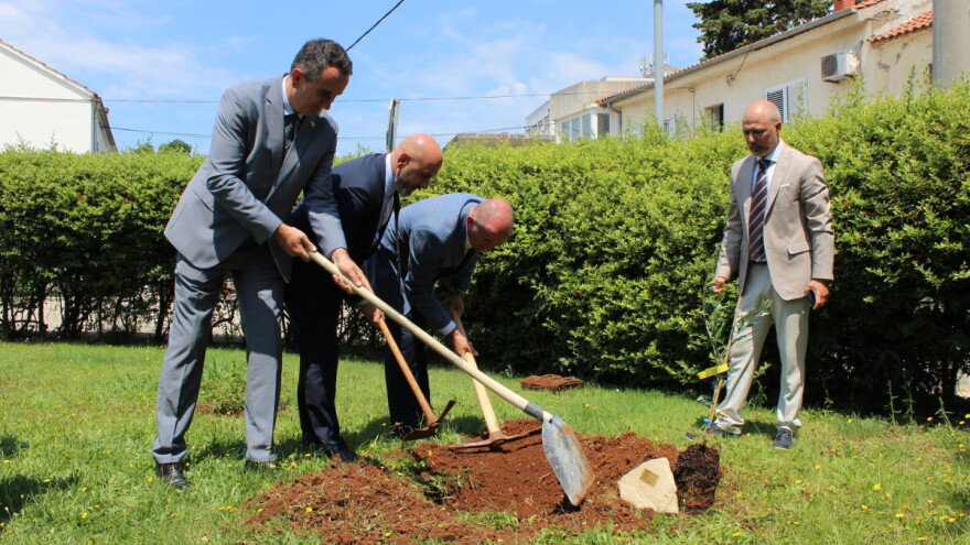 U Zadru otvoren Noćnjak 2020