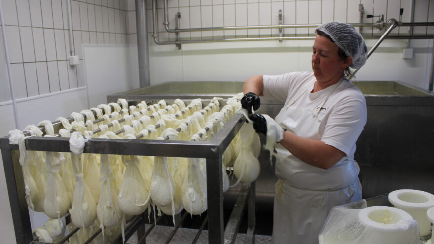 Stočarima do 50.000 bespovratnih evra u okviru Projekta za konkurentnu poljoprivredu