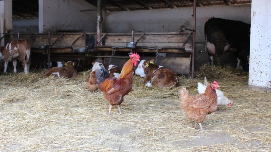 Gotovo 5 milijuna eura za OPG-ove s područja naseljenim nacionalnim manjinama