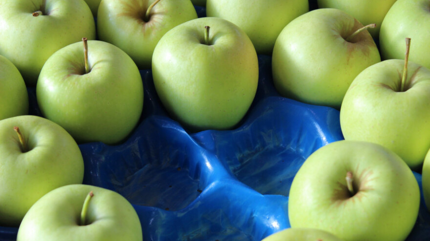 Hrvatsko voćarstvo dotaknulo dno