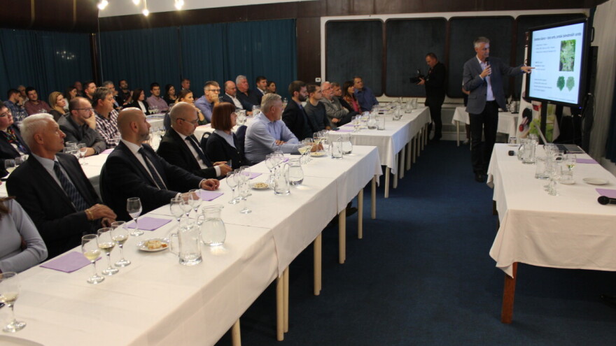 Raste kvaliteta domaćih vina, ali je 27% vinograda starije od 30 godina