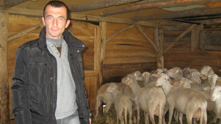 Veterinar se odlučio za ovce i koze