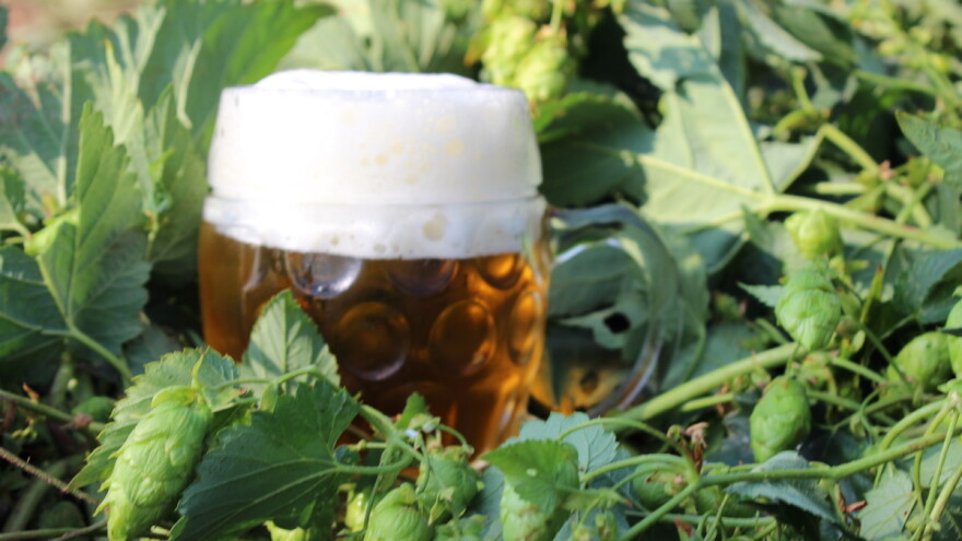 Pokrajinski konkurs za nabavku opreme za proizvodnju piva