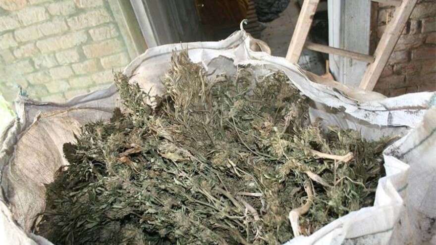 Dobio odobrenje za industrijsku konoplju - uzgojio onu drugu