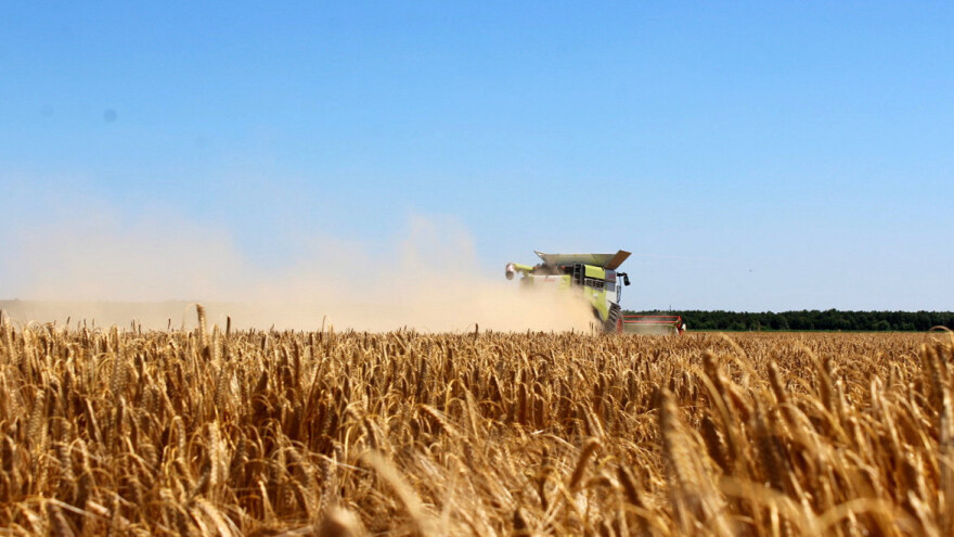 Smanjiti će se proizvodnja pšenice i uljane repice u EU - veći uvoz?