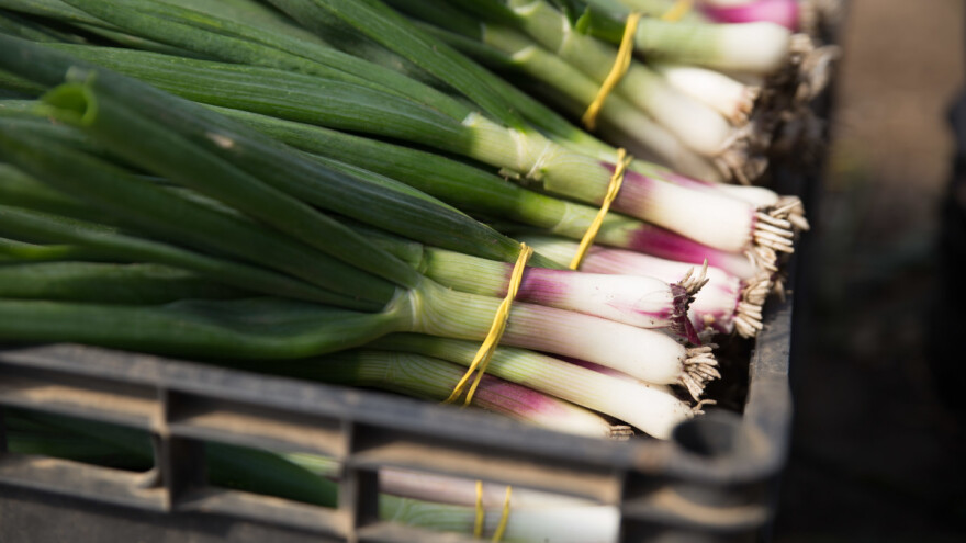 Šta je potrebno za dobijanje organskog sertifikata?