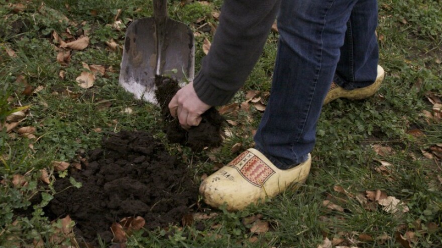 Nema guranja glave u pijesak