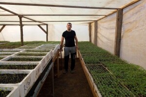 Presadnice hibridnih sorti dovedu hiljade mušterija na vrata porodice Aščalić