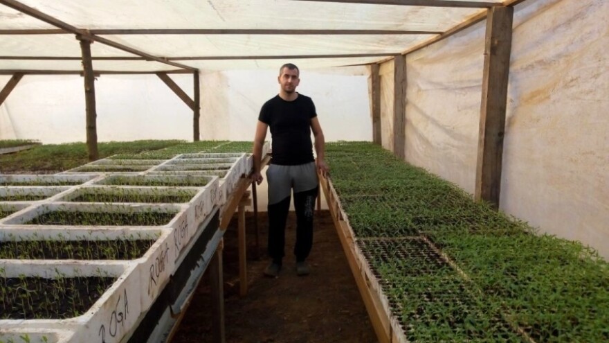 Presadnice hibridnih sorti dovedu hiljade mušterija na vrata porodice Aščalić