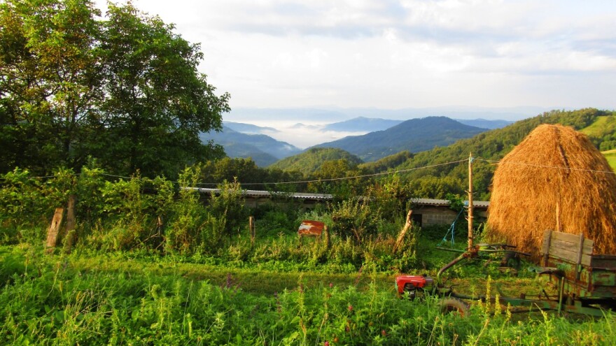 Učešće domaćinstava u plaćanju poreza u oblasti životne sredine - skoro 40 odsto