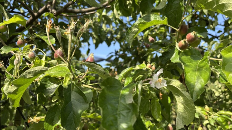 Većini krajeva prijete nepogode: Obilna kiša, jak vjetar i grad