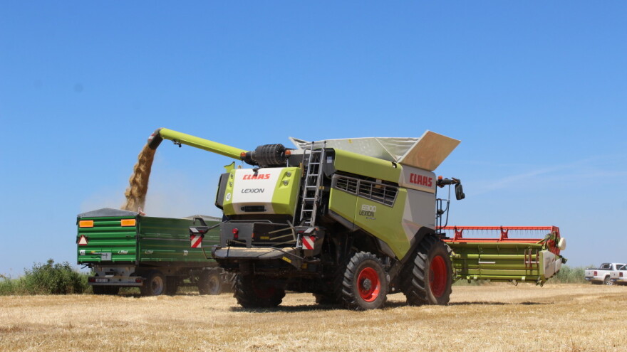 Žetva je u punom jeku: Kako se kreću cijene na svjetskim burzama?