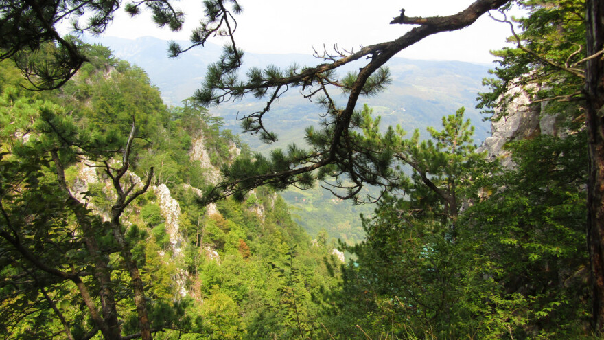 Usvojen program zaštite prirode Republike Srbije za period od 2021. do 2023. godine