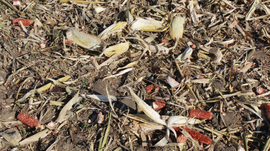 Kako što efikasnije iskoristiti agrobiomasu na OPG-ima?