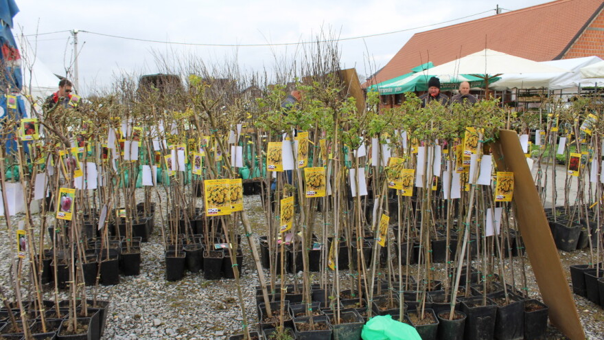 Prijavili ste se na natječaj za operaciju 4.1.1? Objavljene su inicijalne rang liste