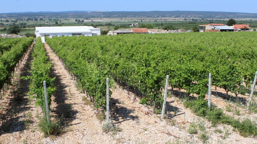 Program sufinanciranja rada organizacija vinara i vinogradara u javnom savjetovanju