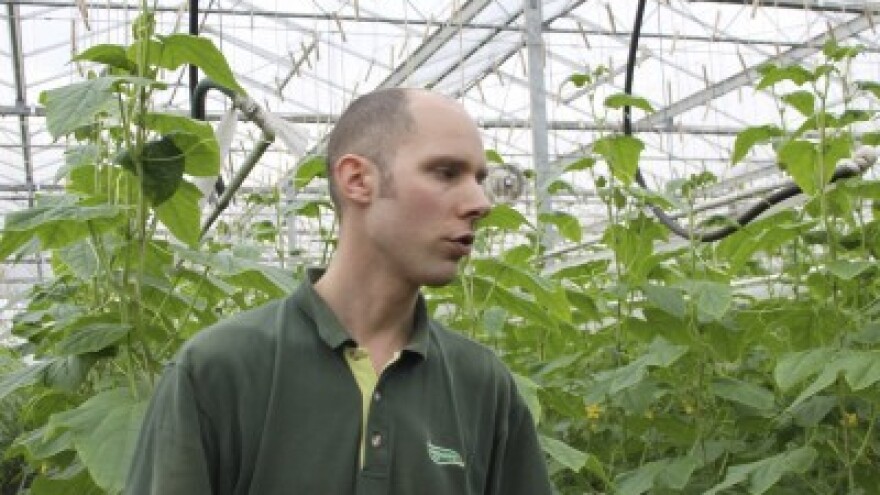 Jonkers - majstor eko proizvodnje povrća