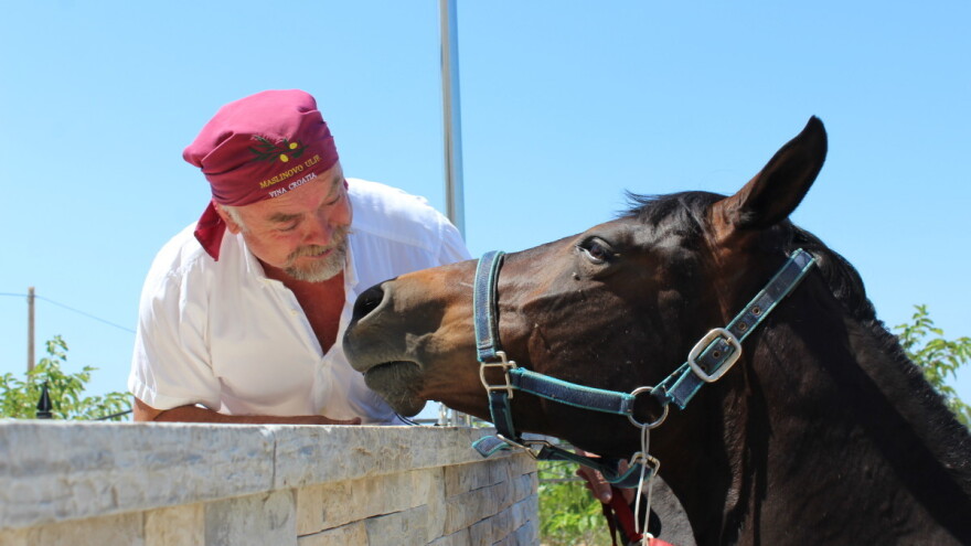 Vinova loza, masline i smokve - Tri eko gracije Dalmacije Poljoprivredne zadruge MasVin