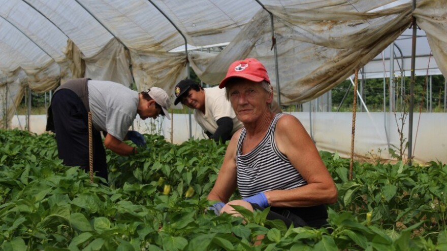 Predavanja za eko poljoprivrednike o Mjeri 11!