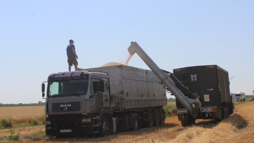 Ministarstvo poljoprivrede: Pokreće se izgradnja skladišnih kapaciteta za žitarice i uljarice