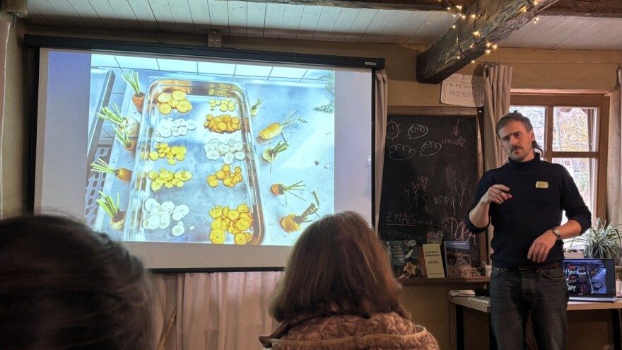 Kako uzgojiti biljke koje će dati otporno sjeme?