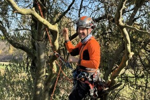 Sadnja pravog stabla na pravom mjestu i na pravi način smanjuje štetu