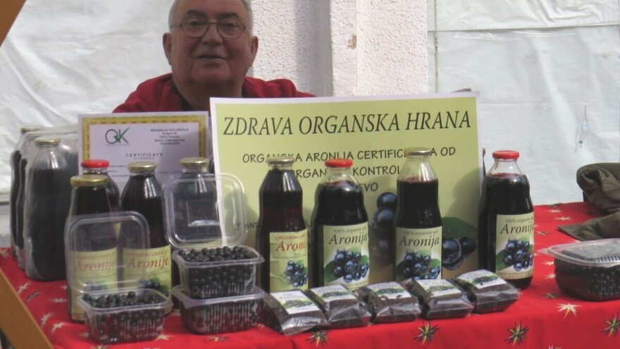 Podigli plantažu aronije na 35 dunuma - jedini imaju eko sertifikat