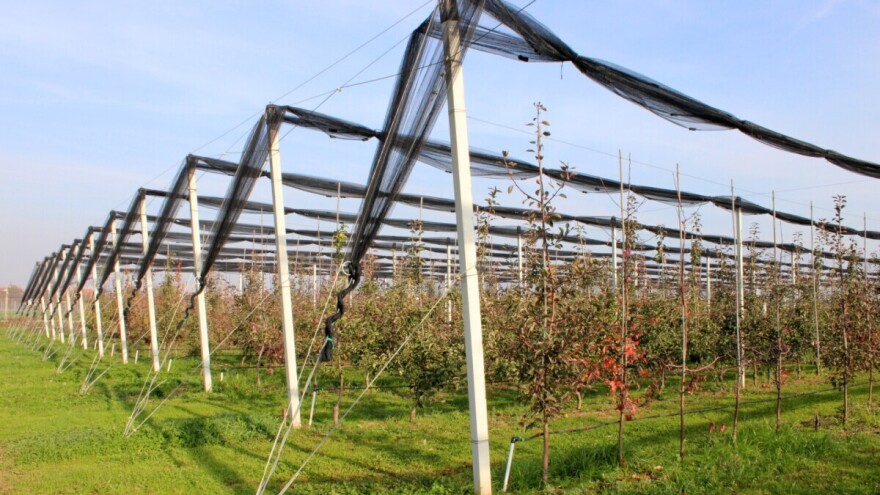 Treba li namotavati zaštitne mreže ili ne?