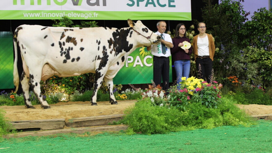 SPACE u Rennesu 33. put okupio evropske stočare