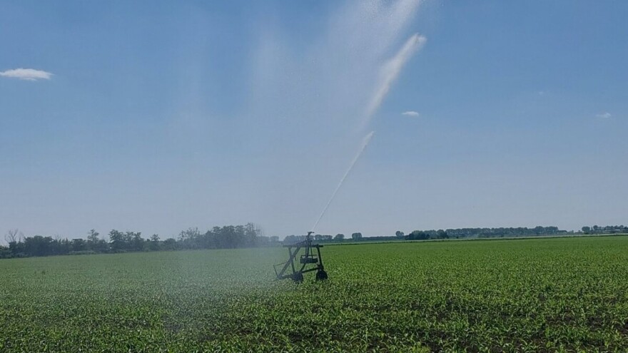 Ekstremna suša u celoj Srbiji - neophodne nove, obilnije padavine