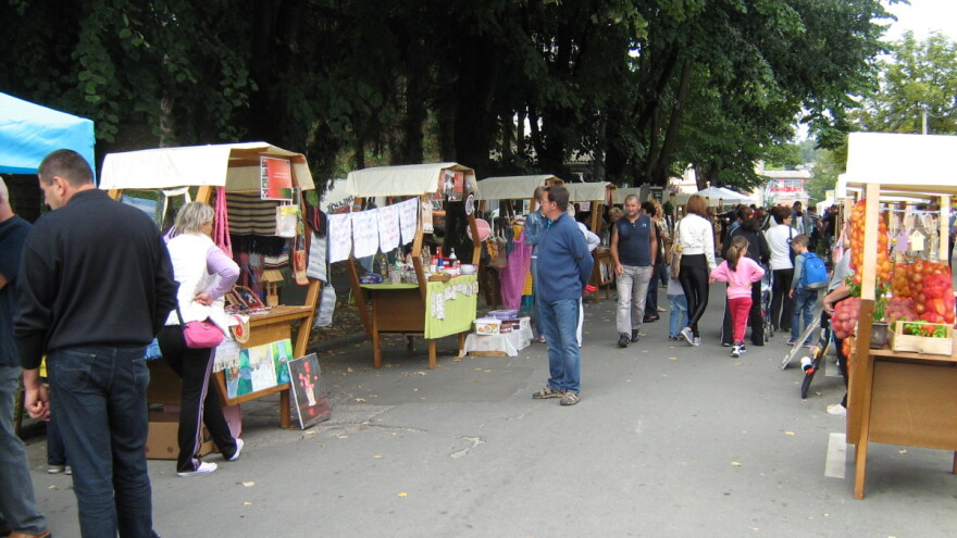 Deseti dani pčelarstva, voćarstva i našeg sela u Novom Gradu