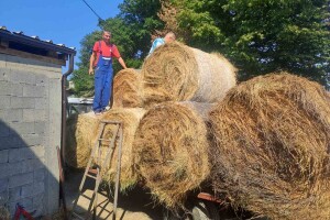 Za šest dana prikupljena pomoć farmerima Hercegovac: "Dužnici smo kolegama do smrti"