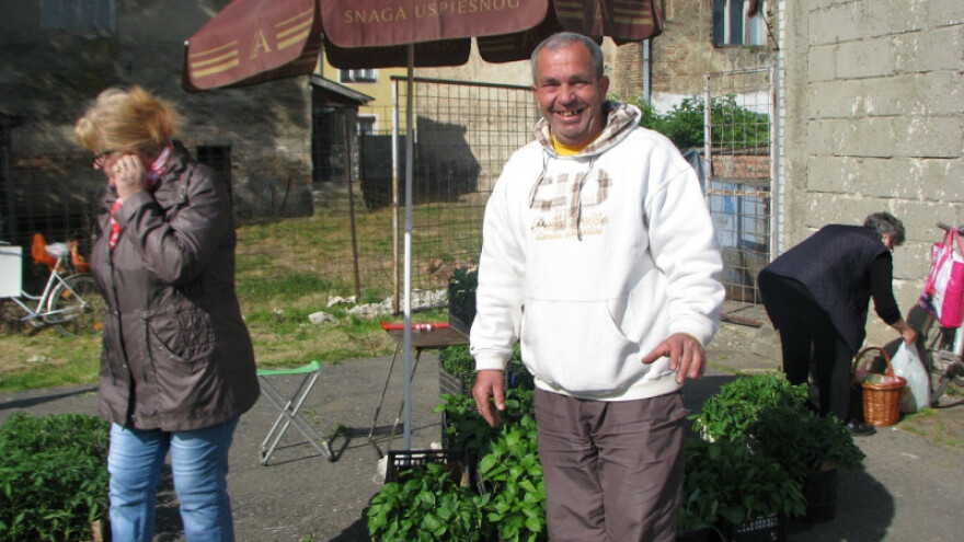 Rasadničari zadovoljno trljaju ruke