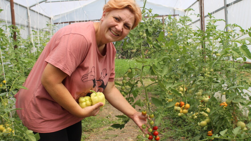 Plodovi.hr: Nedostaje voća, a evo i koji su proizvodi najtraženiji