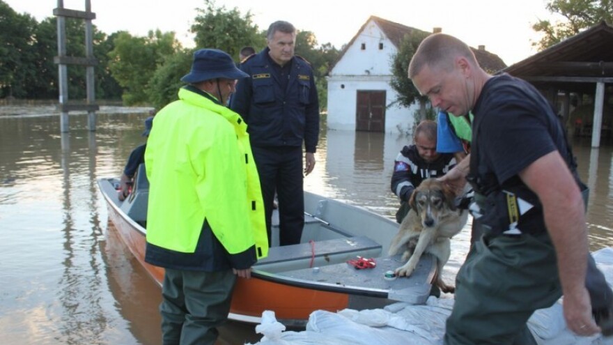 Vatrogasci u obrani od poplava u Slavoniji