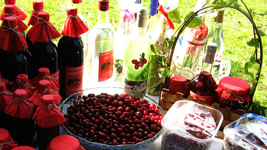 Kako napraviti likere od šipka i drenjka?