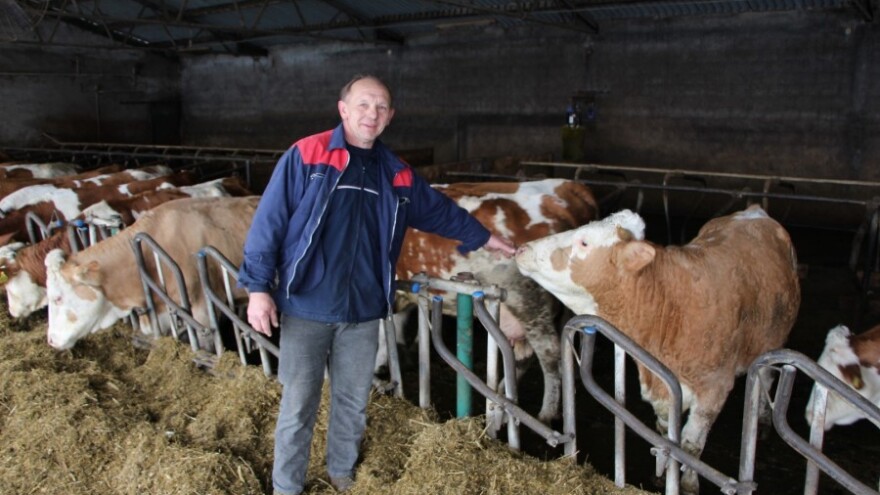 Orden za hrabrost: izgradnja nove farme junadi!