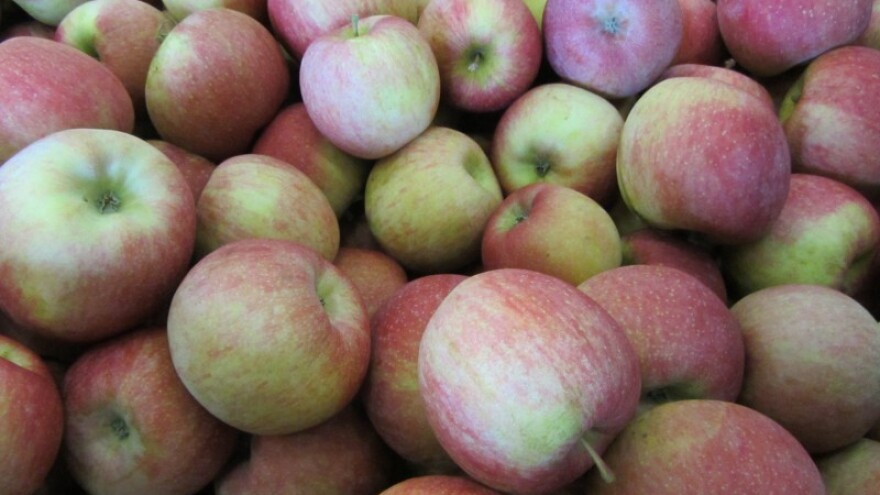 Virtuelni berači jabuka