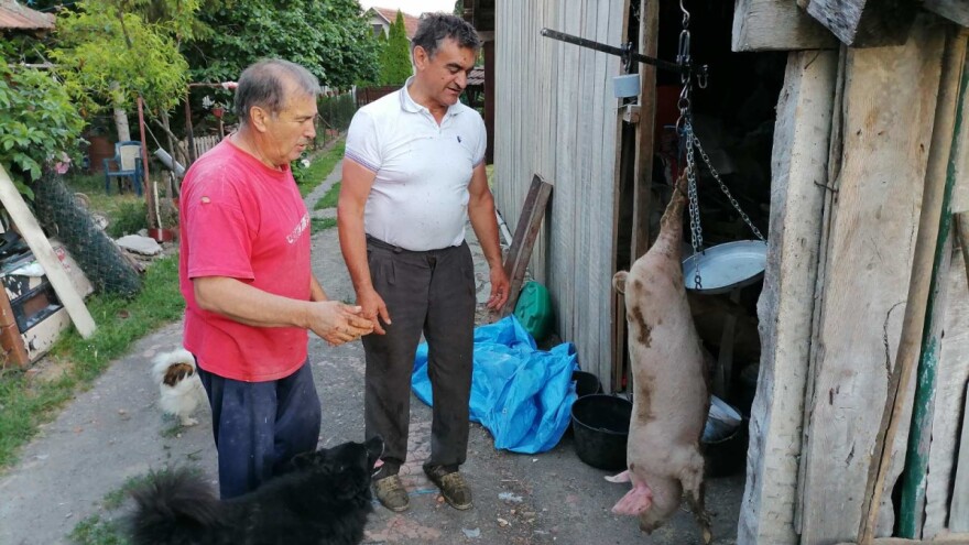 Rast cene teladi i prasadi, ali pad jagnjadi?