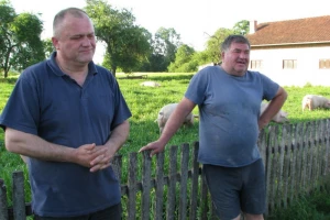 Rogolji šampioni u svinjogojstvu, folkloru i poljoprivredi