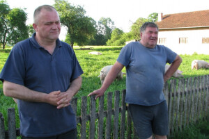 Rogolji šampioni u svinjogojstvu, folkloru i poljoprivredi