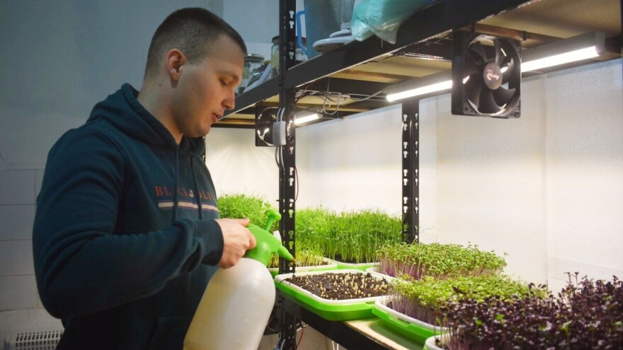 Norbert Buš uzgaja mikrobilje na urbanoj farmi - ideju dobio dok je konobarisao u Holandiji