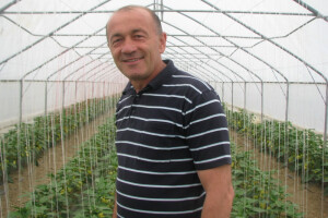 Paprika poranila, prva cijena podbacila